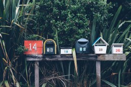 4 Easy Changes to Improve Your Next Email Campaign