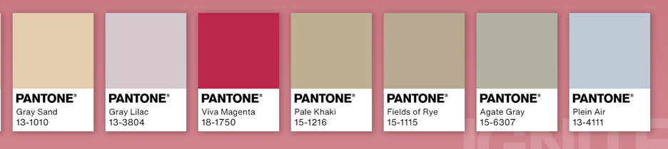 a swatch of Pantone colors